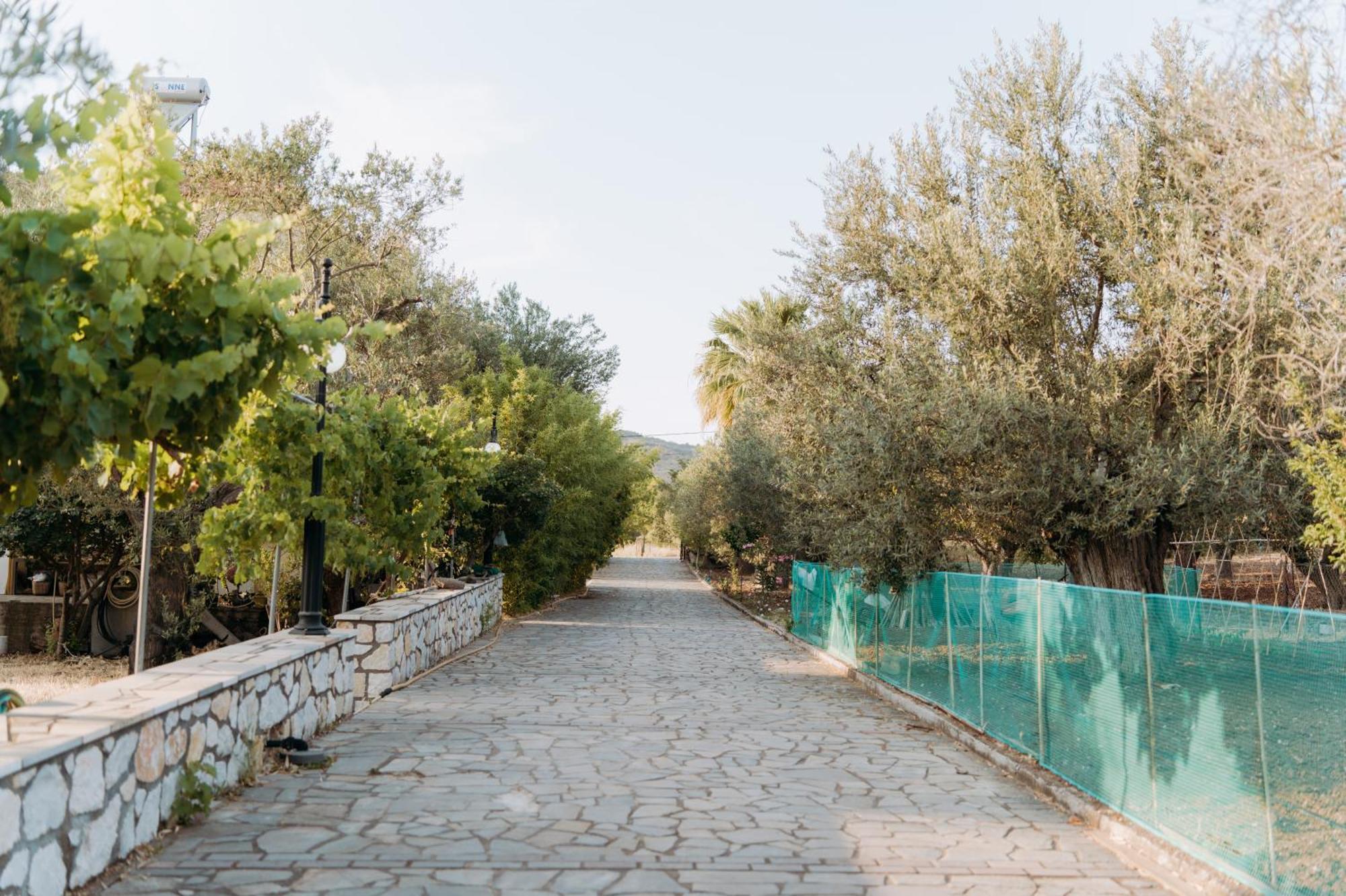 Vasiliki Studios Petra  Exteriör bild