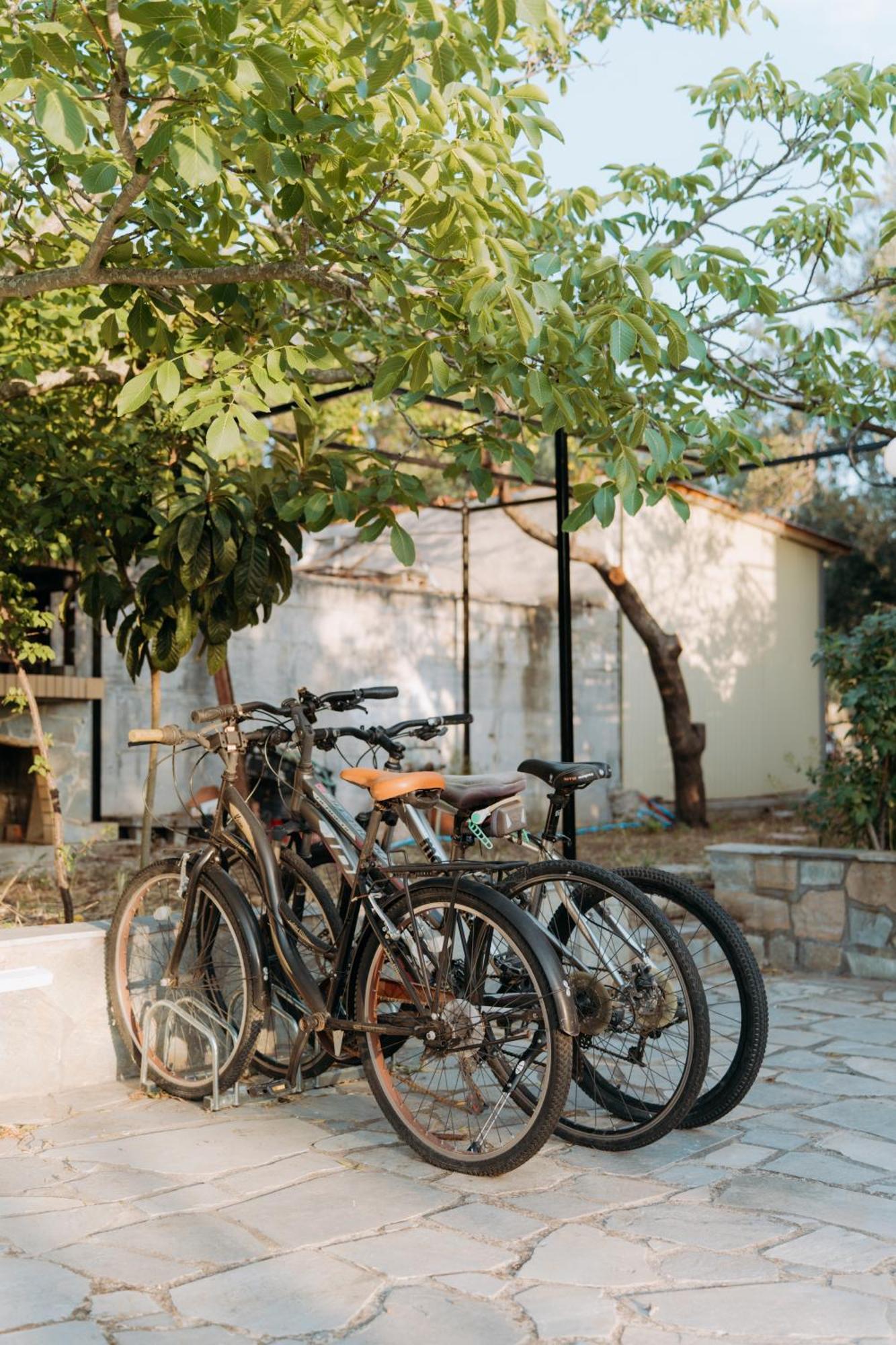 Vasiliki Studios Petra  Exteriör bild