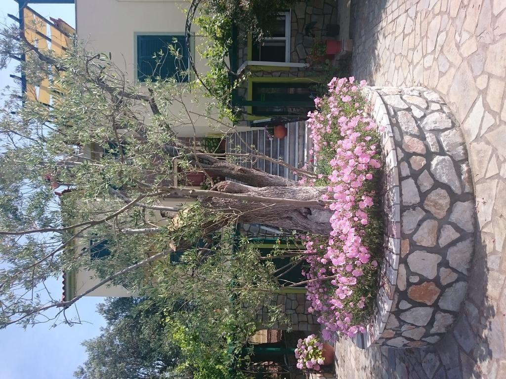 Vasiliki Studios Petra  Exteriör bild
